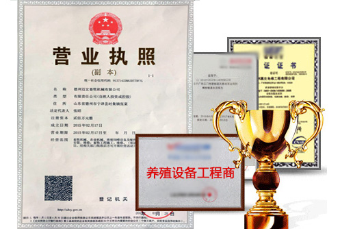 经验丰富 技术全面.